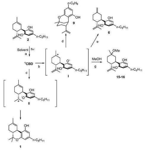 光照下大麻二酚的丙酮穩定性探究